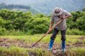 Dieudonné Minlama Mintogo plaide pour une véritable politique agricole capable de sortir le Gabon de la dépendance et de l’insécurité alimentaires. © D.R.