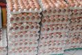 La Smag a écarté les risques de pénurie d’œufs sur les étals du Grand Libreville. © D.R.