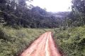 Claude Médard Pangou interpelle le gouvernement sur l’état de la route dans le département de l’Ogoulou. Ici, un aperçu de l’axe Mouila-Mimongo en saison des pluies. © D.R.