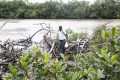 Libreville a perdu 70 hectares de mangrove entre 2017 et 2020. © pmdstatic.net