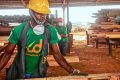 Woodbois vient d’acquérir deux lignes de placage supplémentaires d’une valeur de 526 millions de francs CFA, pour stimuler ses opérations au Gabon. © Woodbois