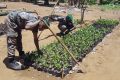 Le secteur agricole vient de se voir octroyer une place importante au sein des Forces de défense gabonaises. © D.R.