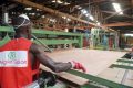 L’acheteur de l’usine de Rougier Gabon à Owendo va conserver le personnel et tous ses avantages. © D.R.