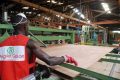 Rougie a concrétisé la cession de son actif industriel de fabrication de contreplaqués d'Owendo. © D.R.