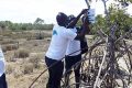 Les autorités gabonaises sont engagées dans la protection de la mangrove, qui une grande capacité de piégeage de carbone. © D.R.