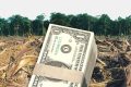 Les cinq plus grandes banques du monde ont conclu un total de près de 570 transactions d'obligations et de prêts pour des entreprises soupçonnées ou accusées d'abattage massif. © D.R.
