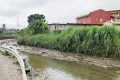 Le canal de Nzeng-Ayong enregistre déjà une accumulation de vase et de déchets divers tandis que l’herbe haute s’y arroge des droits. © Gabonreview