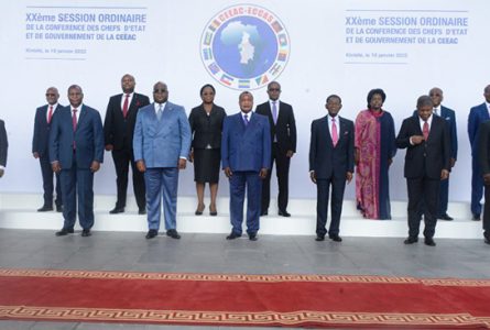 Les représentants des Etats à Brazzaville, le 19 janvier 2022. Denise Mekam'ne au second plan. © Twitter/PR Congo