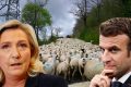 Les Français n’ont pas jugé utile d’évaluer Emmanuel Macron à l’aune de son bilan. Ils n’ont pas non plus pris la peine de se pencher sur les retombées des propositions de Marine Le Pen. Dans un cas comme dans l’autre, ils se sont laissé guider par les sondages, abdiquant leur libre-arbitre. © Montage Gabonreview