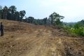 D’ici à 2025, le Gabon projette de produire localement plus de 50 % de sa consommation alimentaire nationale. © D.R.