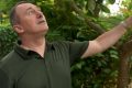 Pr Lee White dans son jardin, à Libreville, en 2022. © Capture d'écran/Min. Eaux et Forêts
