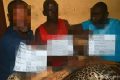 Le trio de présumés trafiquants de faune ayant des ramifications au sein du tribunal de première instance de Lambaréné. © Conservation-justice