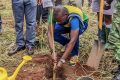 Sayid Abeloko plantant un arbre. © D.R.