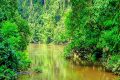 Un cours d'eau dans le parc national de Waka. © OceanWP