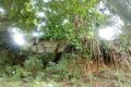 Des arbres (palmiers, manguiers, badamiers...) et une maison en planches pouvant s’écrouler
à tout moment sur le Centre Mot à Mot. © Gabonreview