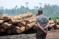 Comme toujours, le patron du département des Eaux, des Forêts, n’était pas au courant. © Montage Gabonreview