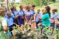 Des élèves pendant la classe verte, le 24 novembre 2022, à l'arboretum Raponda Walker. © Gabonreview