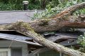 Quatre maisons détruites à cause de la chute d’un arbre à Port-Gentil (Illustration). ©
WideAwake - Adobe stock