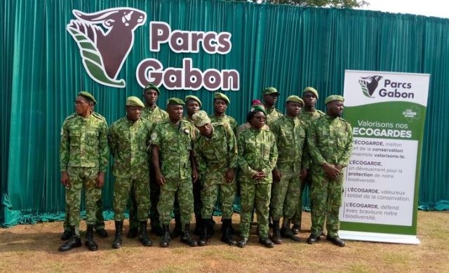 Protection de la biodiversité : Au Gabon, «l’écogarde n’a pas de statut social»