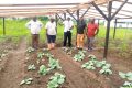 Les membres de la Copamc sur le site du lycée Joseph Ambourouet Avaro de Port-Gentil, font face à un manque criard de matériels agricoles pour leur développement. © Gabonreview