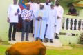 La remise des bœufs au siège du Conseil supérieur des affaires islamiques du Gabon (CSAIG) de Koula-Moutou, le 2O avril 2023. © D.R.