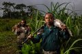 Jusqu’au 14 septembre, la chasse est permise au Gabon. (Chasseurs de Lastousville)  © Brent Stirton/Getty Images pour Fao, Cifor, Cirad, Wcs