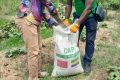 Un des 40 000 sacs d'engrais offerts par le roi du Maroc au Gabon. © Min. Agriculture