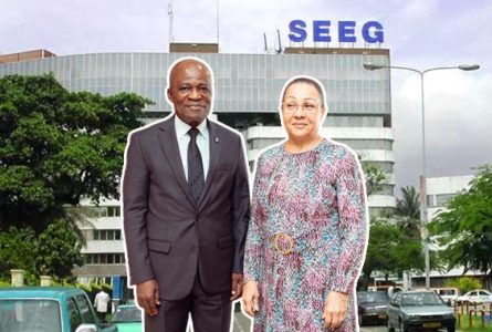 L'Assemblée nationale et le Sénat (dont les présidents en photo) ont acté la fin du monopole de la SEEG. © Gabonreview (montage)