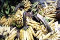 Au Cameroun, certains commerçants véreux font murir la banane et autres fruits avec du formol. © D.R.