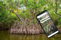 La population invitée à produire des applications mobiles pour la surveillance des mangroves du Gabon. © Gabonreview