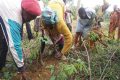 Le Gabon célèbrera les femmes rurales le 29 novembre prochain. © D.R.