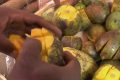 De mangues vertes destinées à la vente sur un marché à Moanda. © Gabonreview