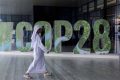 COP28, une task force sur le financement souverain lié au développement durabilité en faveur de la nature et du climat, dans le cadre de l’échange dette nature. © D.R.