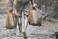 Maurel et Prom soigne les prostates à Port Gentil avec l’argent du pétrole du Moyen-Ogooué ; pendant ce temps elle pollue les sols et les eaux du Lac Ezanga, donc de l’ensemble du département de l’Ogooué et des Lacs. Imbus de morgue, ses dirigeants n’ont jamais daigné assumer ce que la loi de leur pays d’origine, la loi PACTE, appelle la responsabilité sociétale des entreprises (RSE). © D.R.