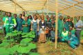 La délégation de Olam Palm Gabon et Olam Rubber Gabon et celle de EM Gabon-Université visant la pépinière. © D.R.