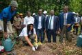 La secrétaire générale du ministère des Eaux et Forêts, Paméla Marylène Balamy Singatadjy Nyama plantant un arbre, le 21 mars 2024. © GabonReview