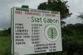 Présentée comme une passerelle vers la diversification de l’économie gabonaise, la Société d’investissement pour l’agriculture tropicale (Siat-Gabon) n’a pas réussi à tenir la promesse des fleurs. © D.R.