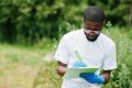 Cet appel à vise à protéger l'environnement au Gabon. L’initiative s'inscrit dans le cadre du Fonds CORE FEM 7, dédié à la préservation écologique. © Freepik