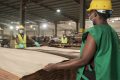 L’indice de production du placage au Gabon s’est apprécié de 14% au 1er trimestre 2024, en glissement trimestriel. © D.R.