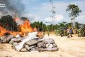 La destruction de l’importante cargaison a été réalisée sous contrôle judiciaire. © ANPN