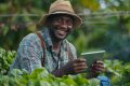 Le ministère gabonais de l’Agriculture et la FAO ont signé un accord de 60 000 USD pour lancer une étude de marché sur la digitalisation des chaînes de valeur agricoles. © Freepik