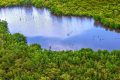Le Gabon veut sanctuariser près d’1/3 de son territoire et de ses eaux. © D.R