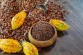 Au Gabon, l’augmentation des ventes de café et de cacao représente une croissance de plus de 300% sur une année. © D.R.