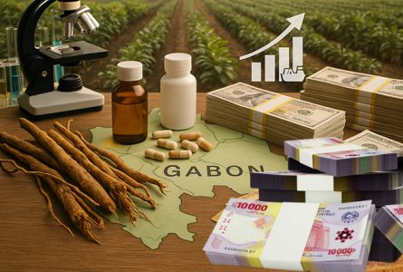 Ibogaïne : quand le Texas investit 50 millions de dollars (près de 28 milliards de francs CFA), le Gabon reste toujours à la marge de son propre trésor. © GabonReview