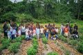 Les enfants initiés à la culture agricole à la ferme-école de Bolokoboué. © D.R.