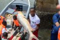 Un jeune pêcheur gabonais lors du premier débarquement, le 9 septembre 2025, à Libreville. © Communication gouvernementale