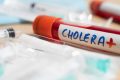 Le choléra est une maladie diarrhéique aiguë. © D.R.
