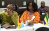 Le Gabon sera représenté à la 59e session de l'OHADA. © D.R.