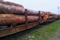 Le Transport ferroviaire du bois. © D.R.