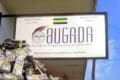 Le Bugada prélève en caïd et distribue, en aumônier, des miettes aux artistes. © GabonReview